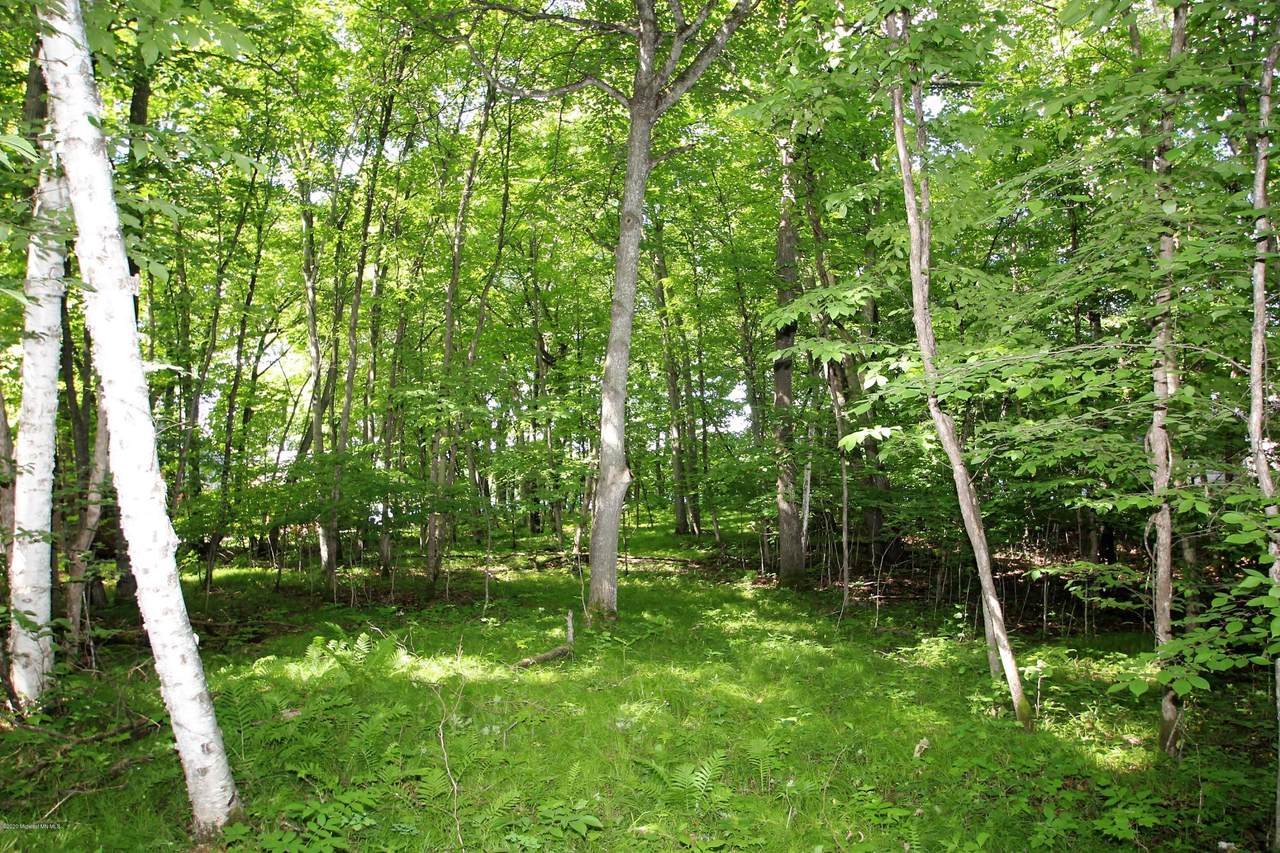 496xx Fish Lake Road - Photo 1