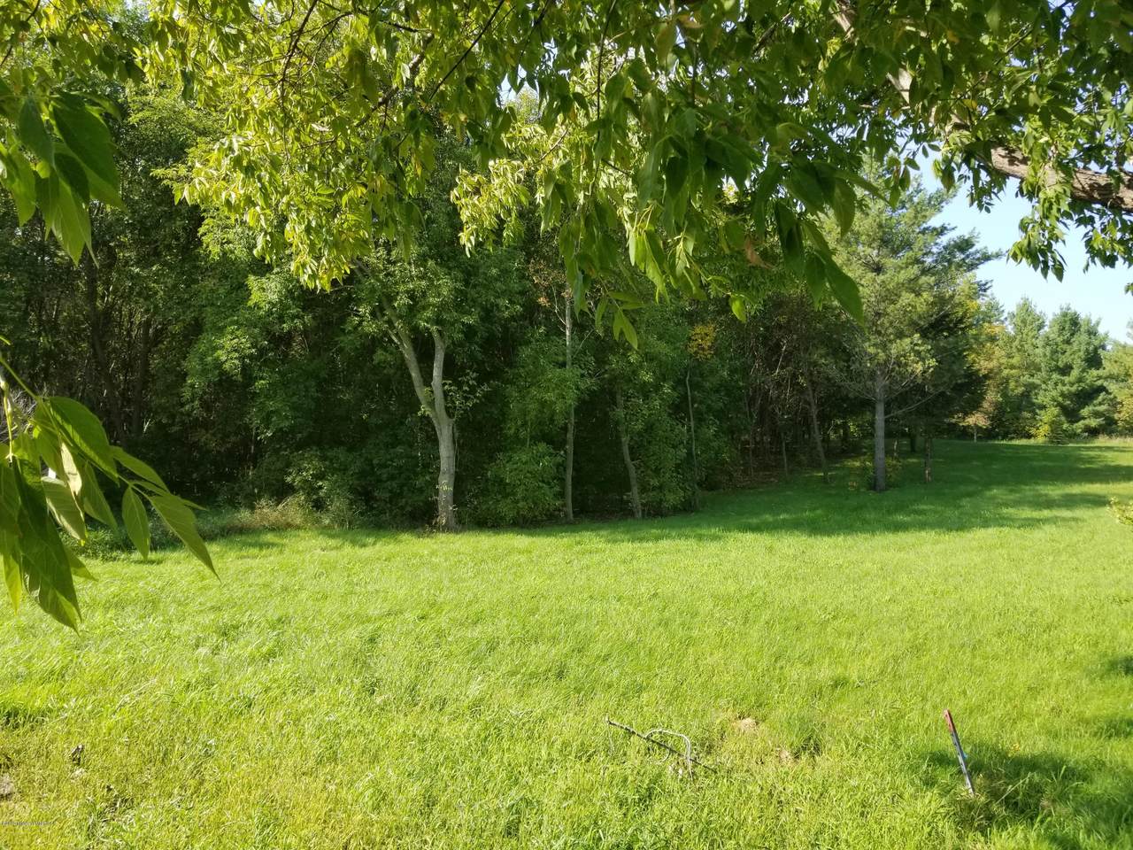 1817 Shoreview Drive - Photo 1