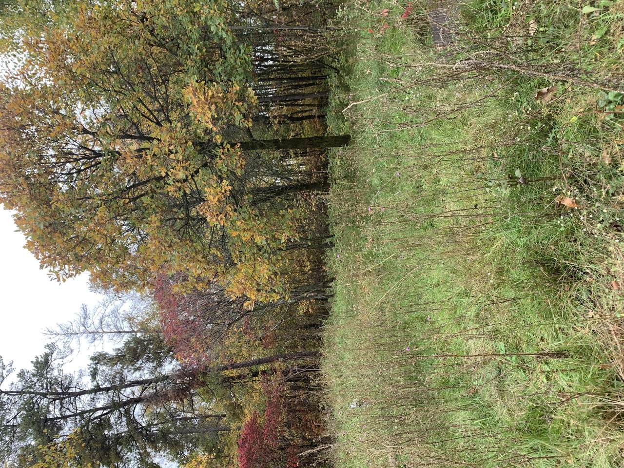 4288 Golf Course Sw Circle - Photo 1