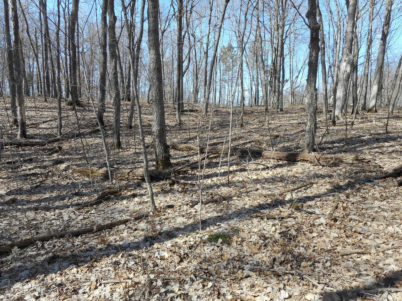 Lot 1 & 2 Campfire Road - Photo 1
