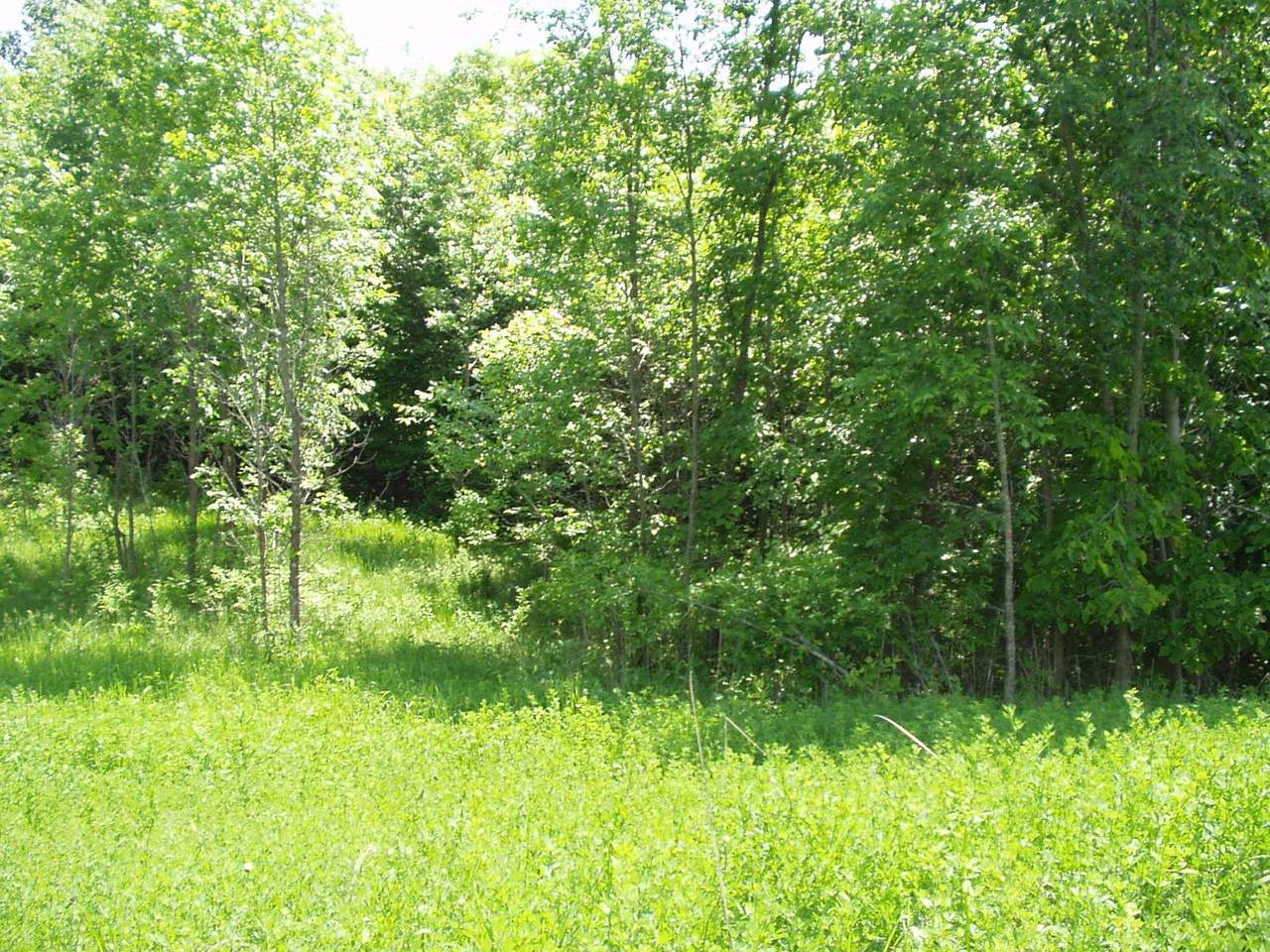 Lot 11 Blk Stalker Road - Photo 1