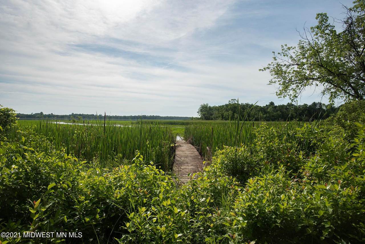38364 Walker Lake Drive - Photo 1