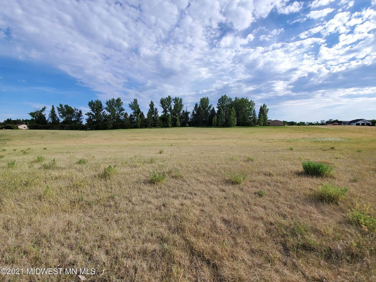 407 Walnut Avenue - Photo 1