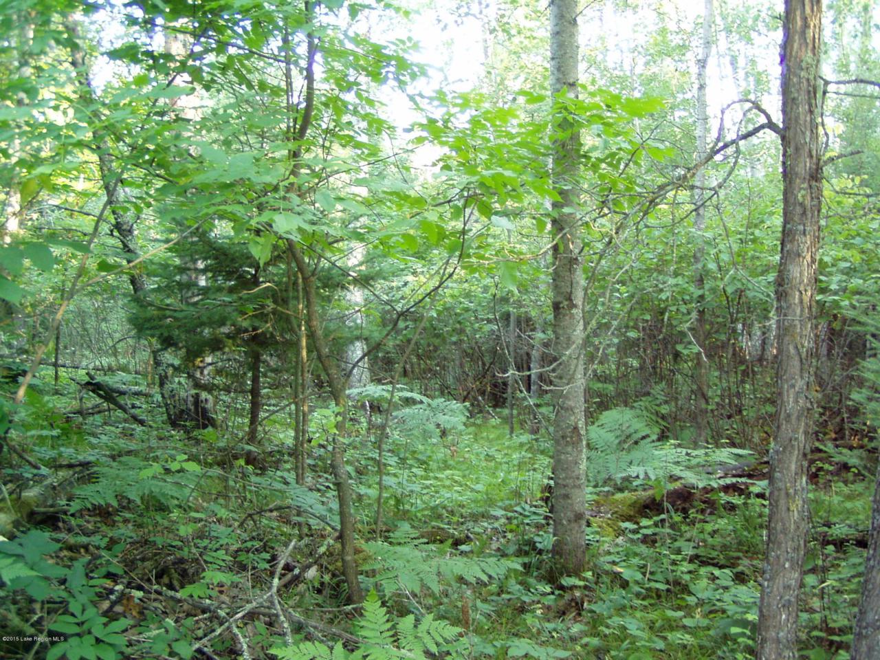 Lot 3 B-1 Falling Leaf Trail - Photo 1