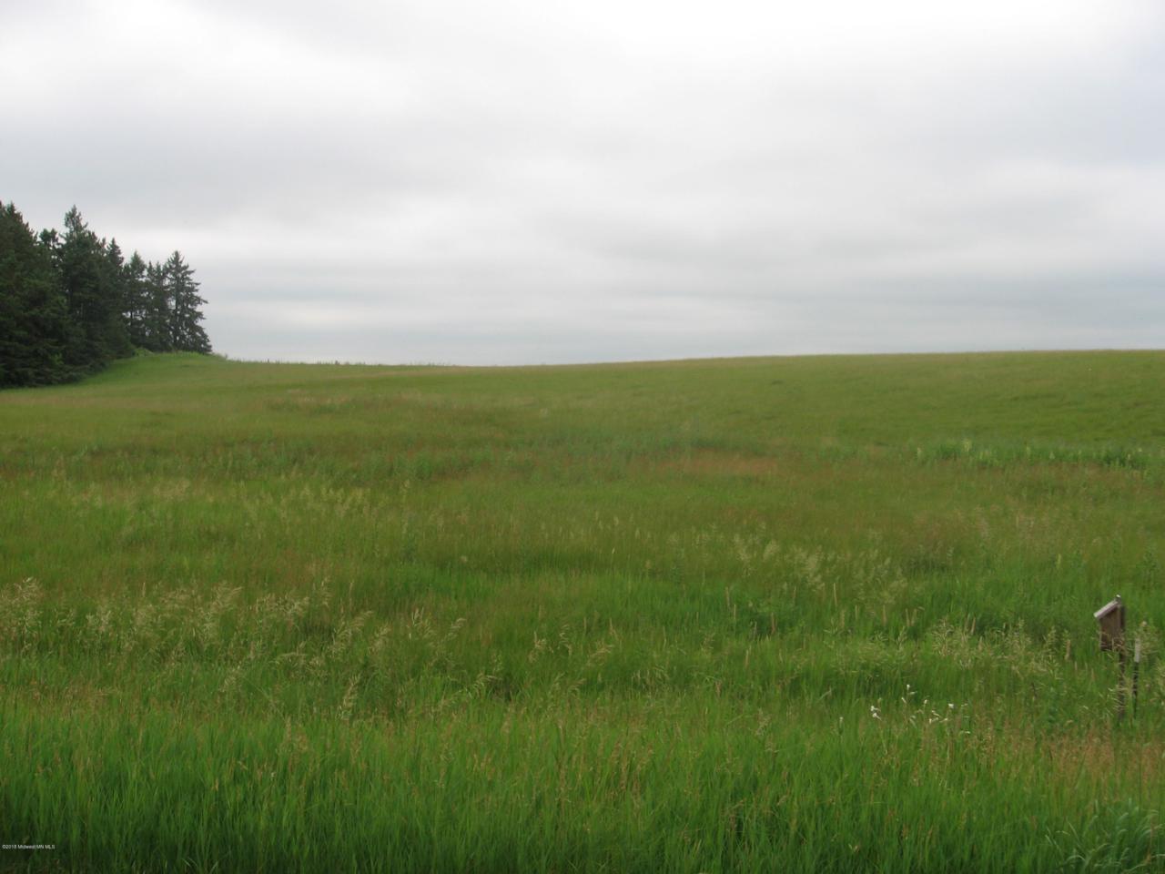 Xxxxx Curly Drive - Photo 1
