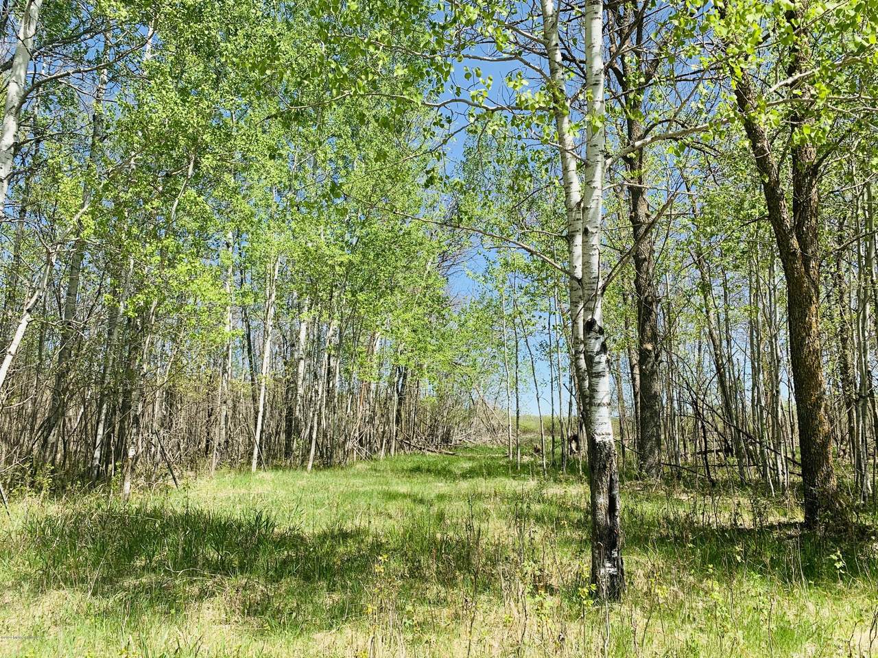 Tbd 130 Street - Photo 1