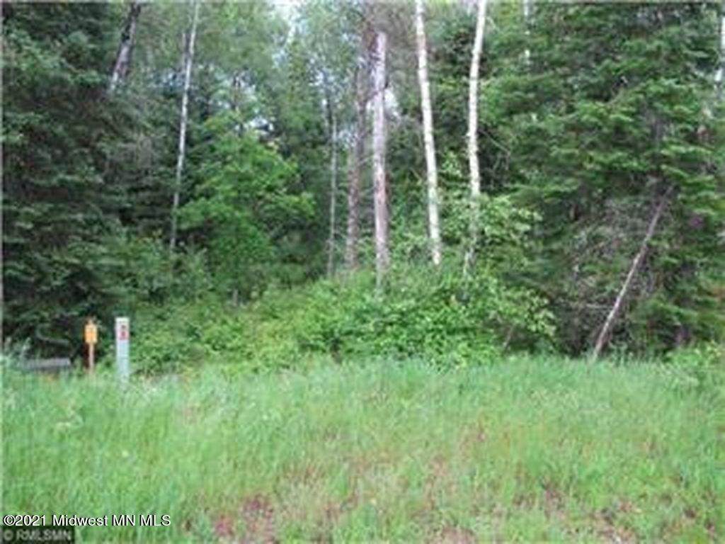0 Hard Pine Trail - Photo 1