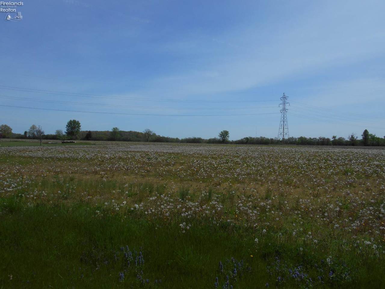 210 Behlman Road - Photo 1