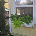 422 Oak Avenue - Photo 30