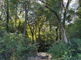 0 County Road 308 - Photo 12