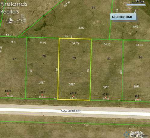 0 Cold Creek Boulevard - Photo 1