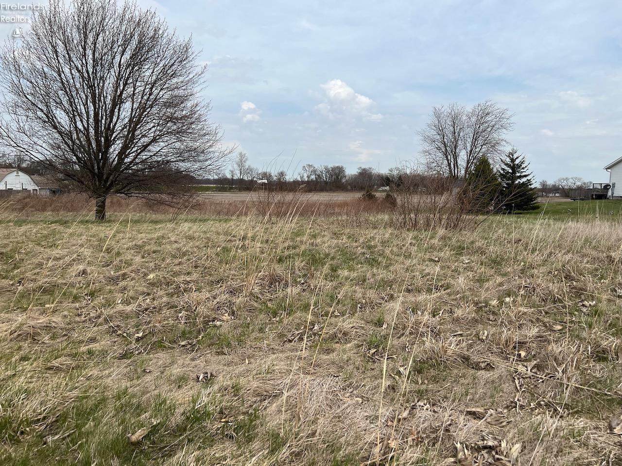 0 County Road 195 - Photo 1