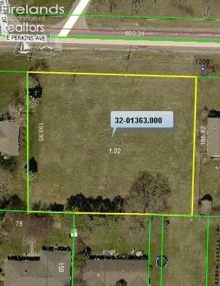 0 Perkins Avenue - Photo 1