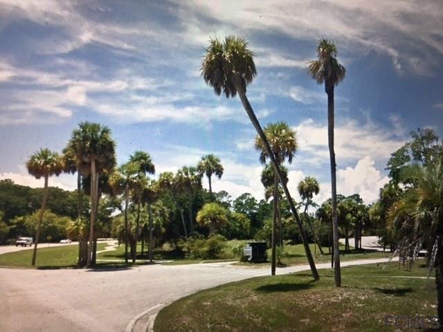 1 Palm Harbor Pkwy - Photo 1