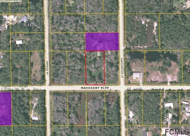 5014 Mahogany Blvd - Photo 1