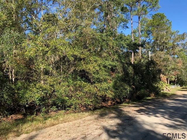 2130 Coconut Blvd - Photo 1