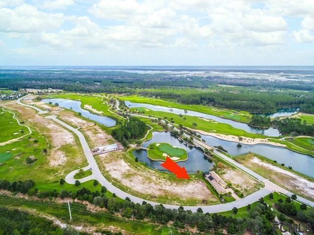 307 Hibiscus Way - Photo 1