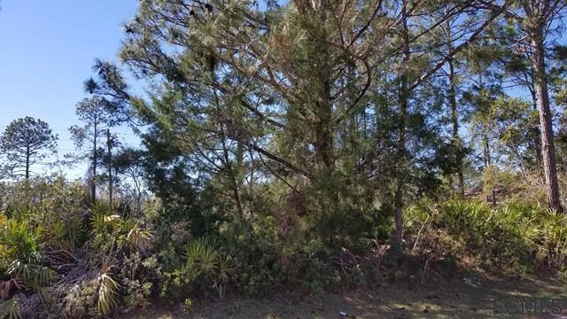 6 Sederholm Path - Photo 1