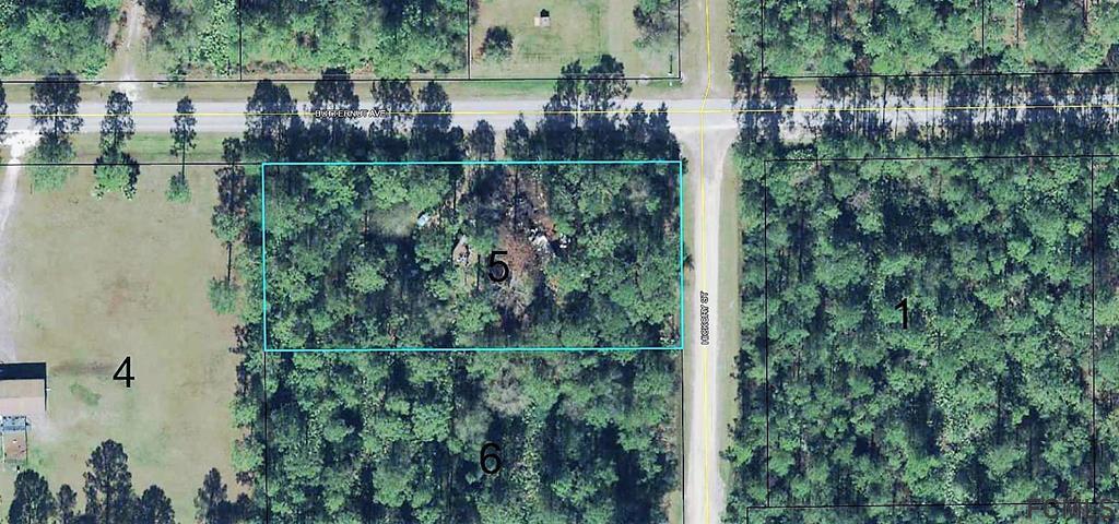 4495 Butternut Ave - Photo 1