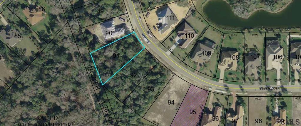 10 Blue Oak Lane - Photo 1