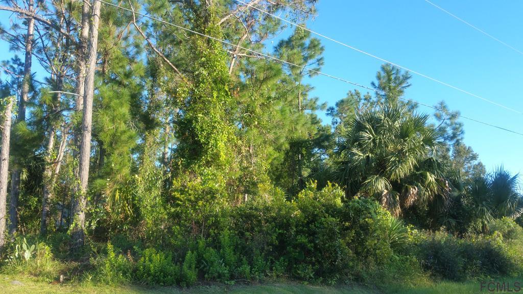 35 Primrose Lane - Photo 1
