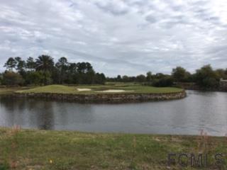 307 Hibiscus Way - Photo 1