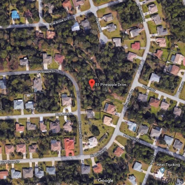 51 Pineapple Dr - Photo 1