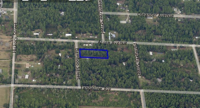 2829 Bamboo St - Photo 1