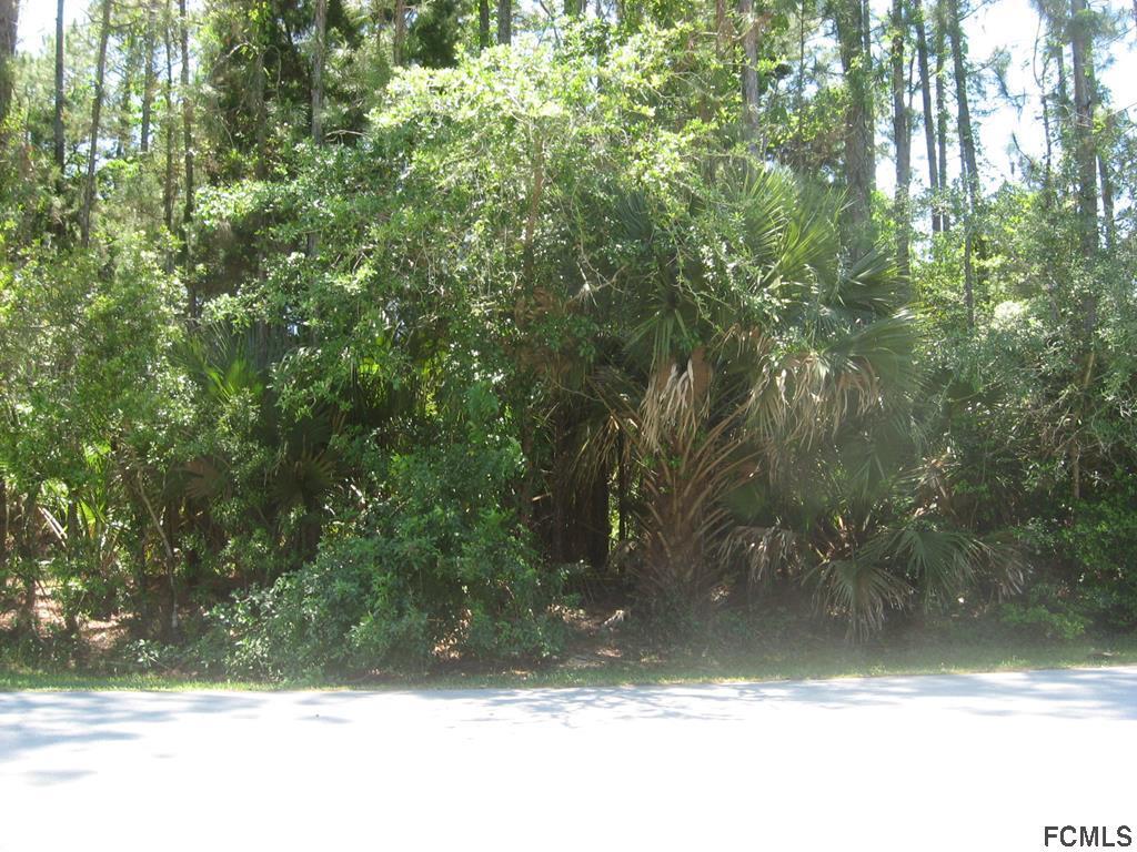 0 Long Pl - Photo 1