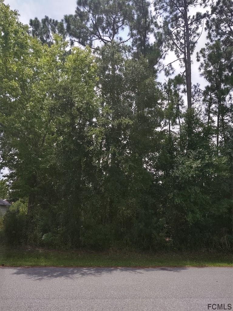 25 Forest Hill Drive - Photo 1