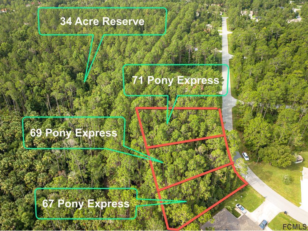 71 Pony Express Lane - Photo 1