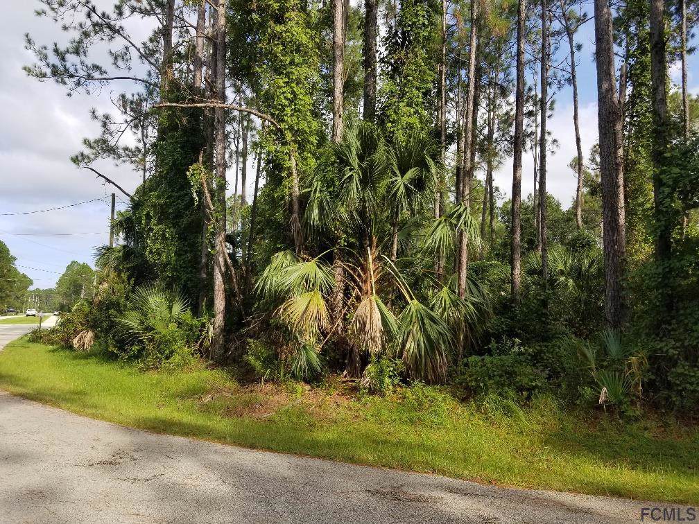 41 Slumber Meadow Trail - Photo 1