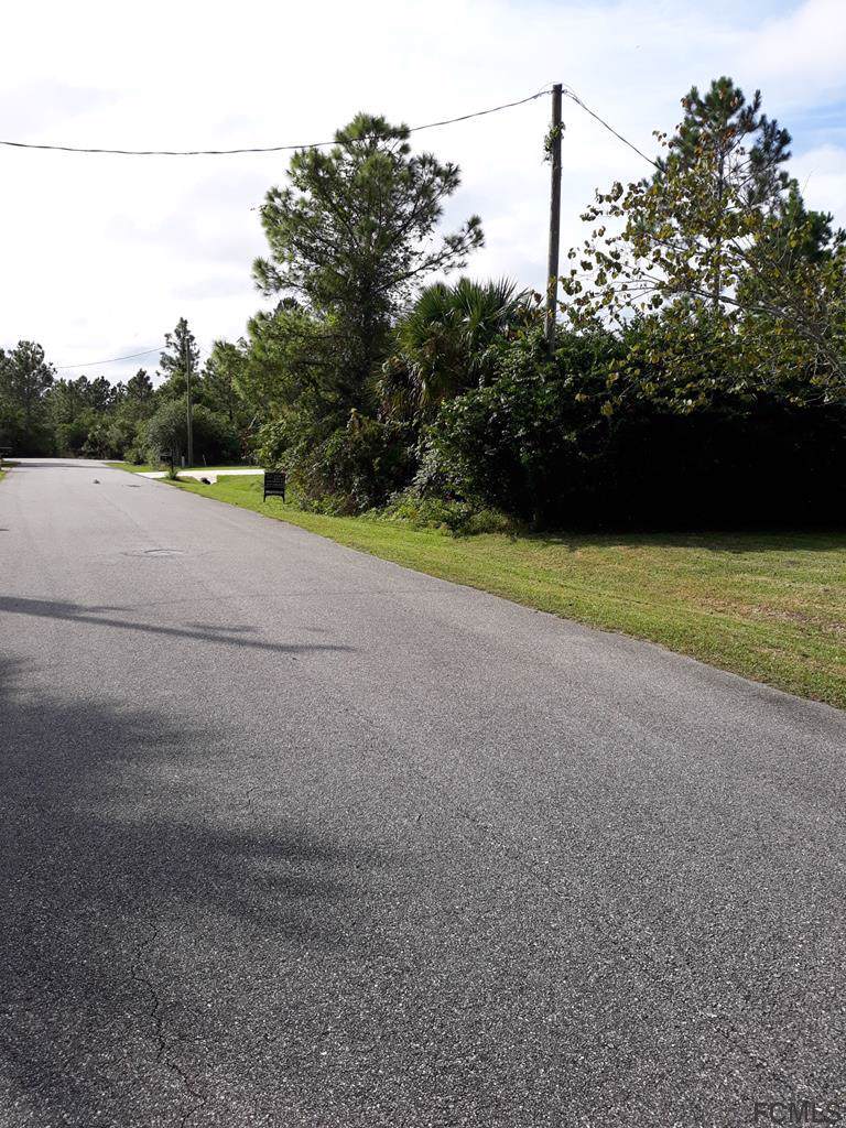 46 Ulmaceal Path - Photo 1