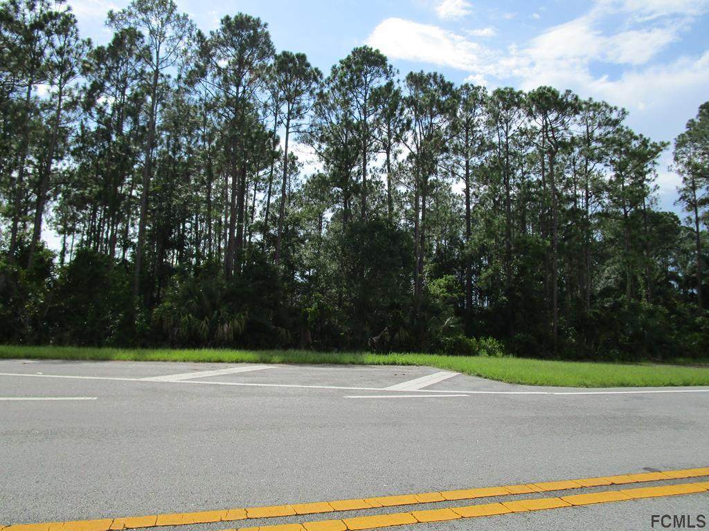xxx Pine Lakes Pkwy - Photo 1
