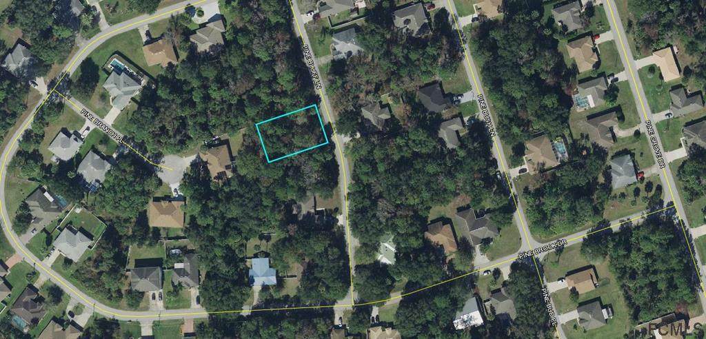 6 Pine Bluff Ln - Photo 1