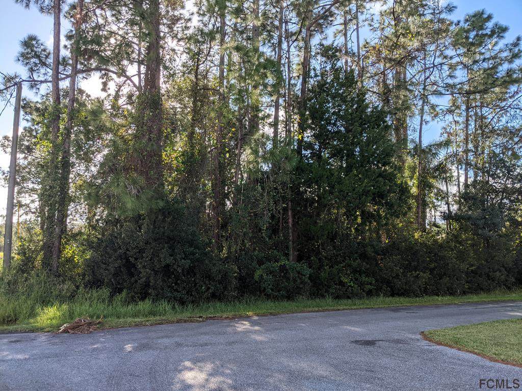 14 Ehrling Ln - Photo 1