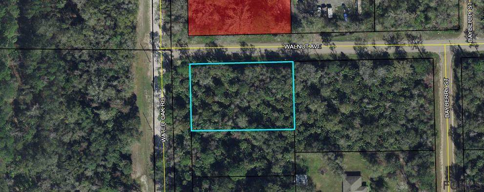 6665 Walnut Avenue - Photo 1