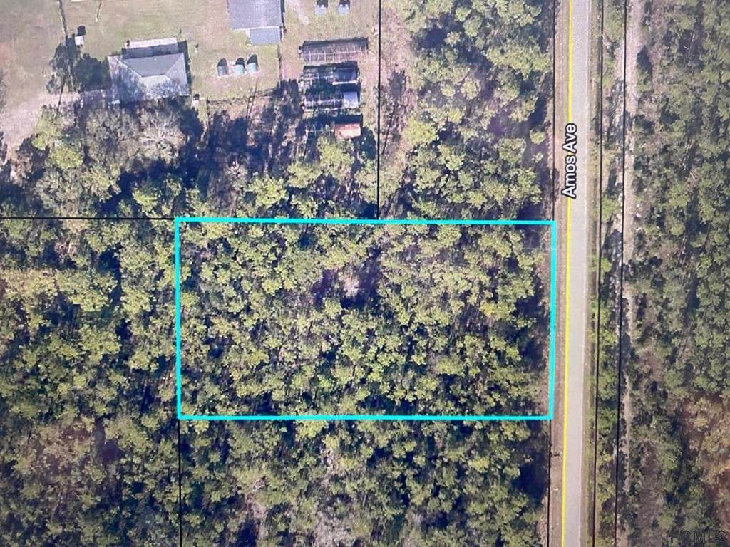 10415 Amos Ave - Photo 1