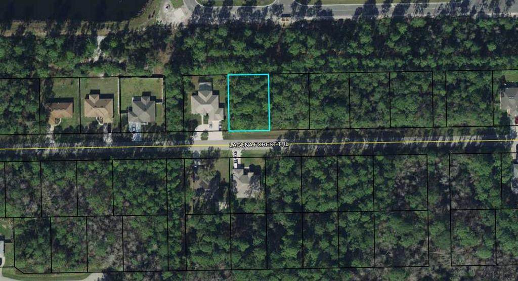 37 Laguna Forest Trl - Photo 1