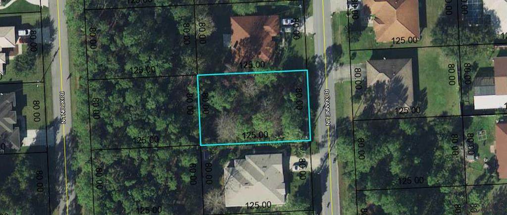 8 Roxanne Lane - Photo 1