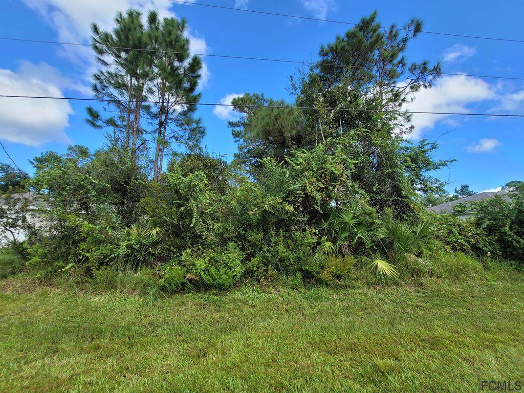 133 Sea Trail - Photo 1