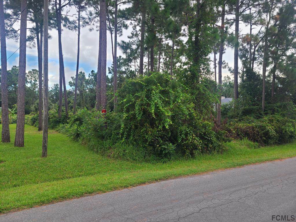 20 Buffalo Bill Dr - Photo 1