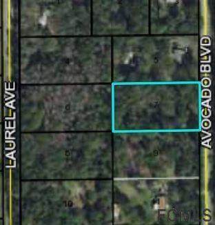 2086 Avocado Blvd - Photo 1