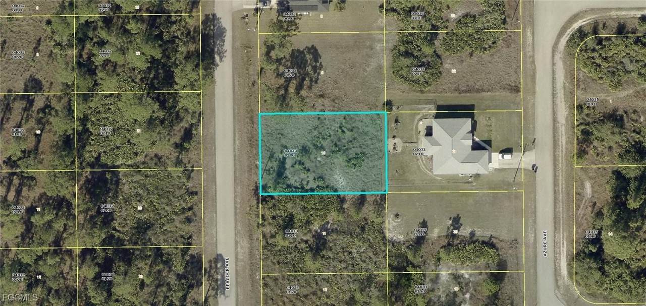 723 Peacock Avenue - Photo 1