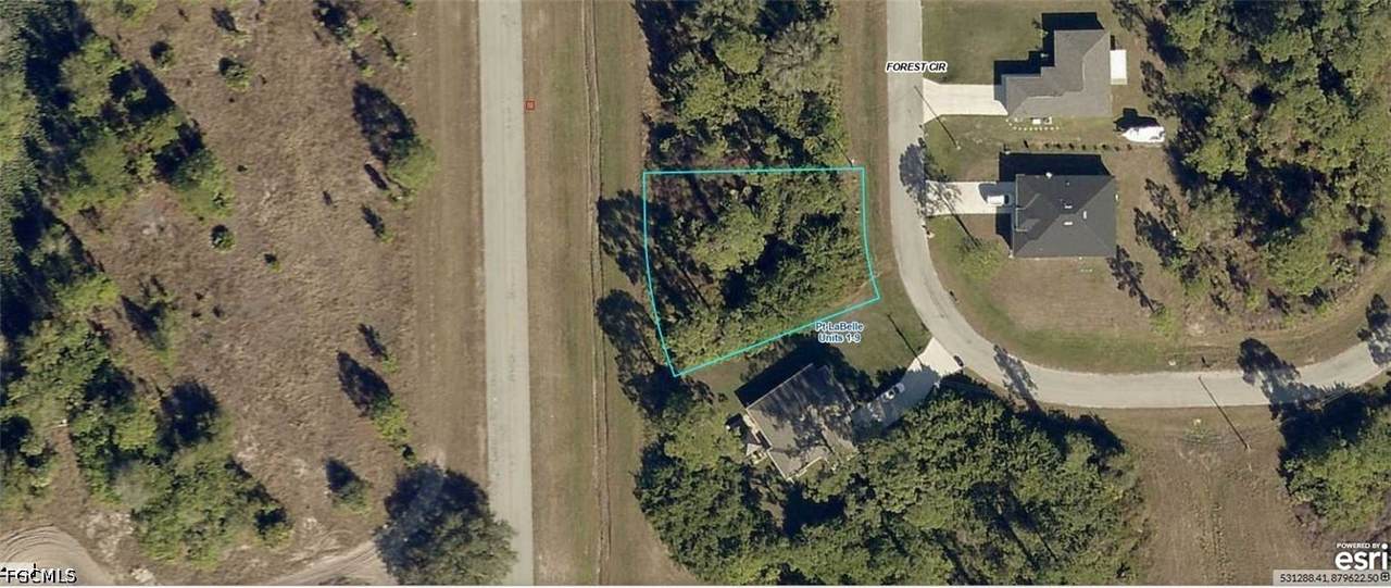 6526 Forest Circle - Photo 1