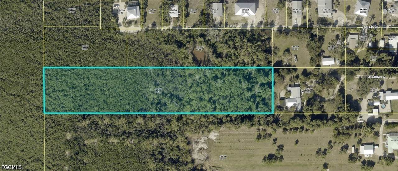 7911 Spearing Lane - Photo 1