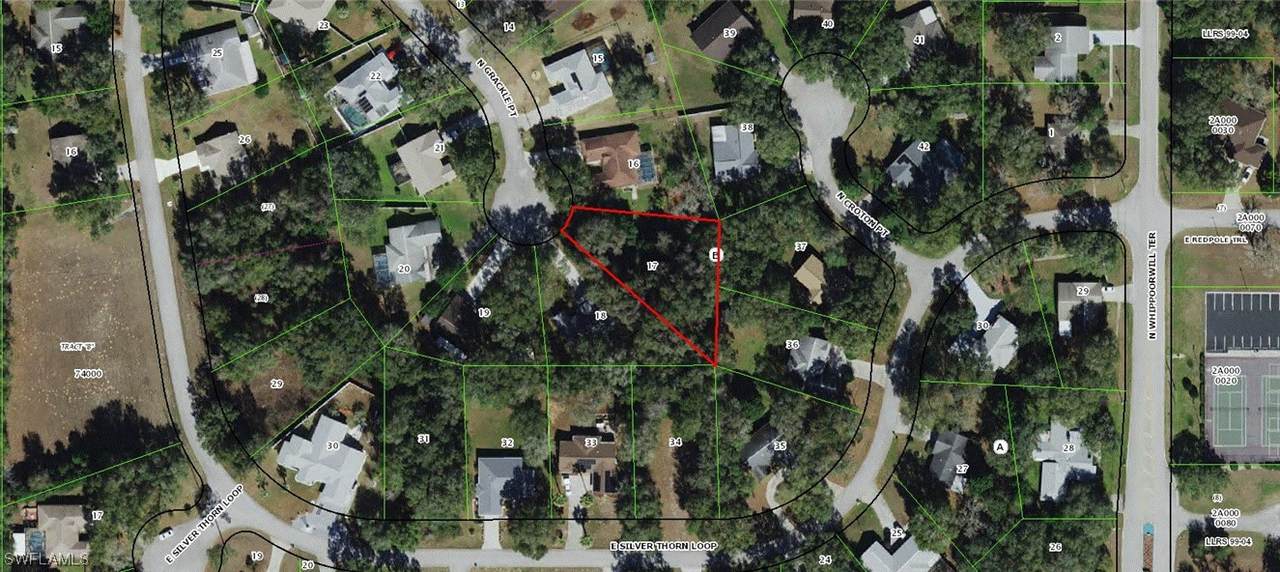 7105 Grackle Point - Photo 1