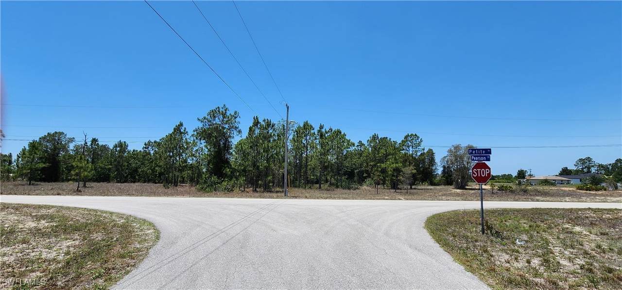 318 Petite Avenue - Photo 1