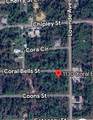 1130 Coral Bells Street - Photo 2