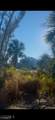 3666 Stabile Road - Photo 3